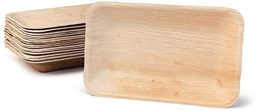 Areca Leaf Rectanglar Plates | Export Quality | 100%, Eco-Friendly, Compostable, Biodegradable, Disposable Palm Leaf Plates for Party, Wedding, Events (9x6 inch, 10)