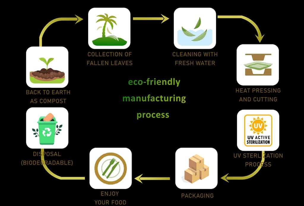 Areca Leaf Rectanglar Plates | Export Quality | 100%, Eco-Friendly, Compostable, Biodegradable, Disposable Palm Leaf Plates for Party, Wedding, Events (9x6 inch, 10)