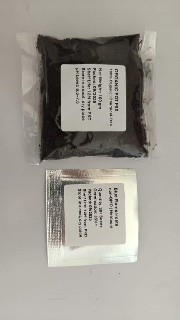 Blue Flame Hostas Free Organic Pot Mix 100 Grams