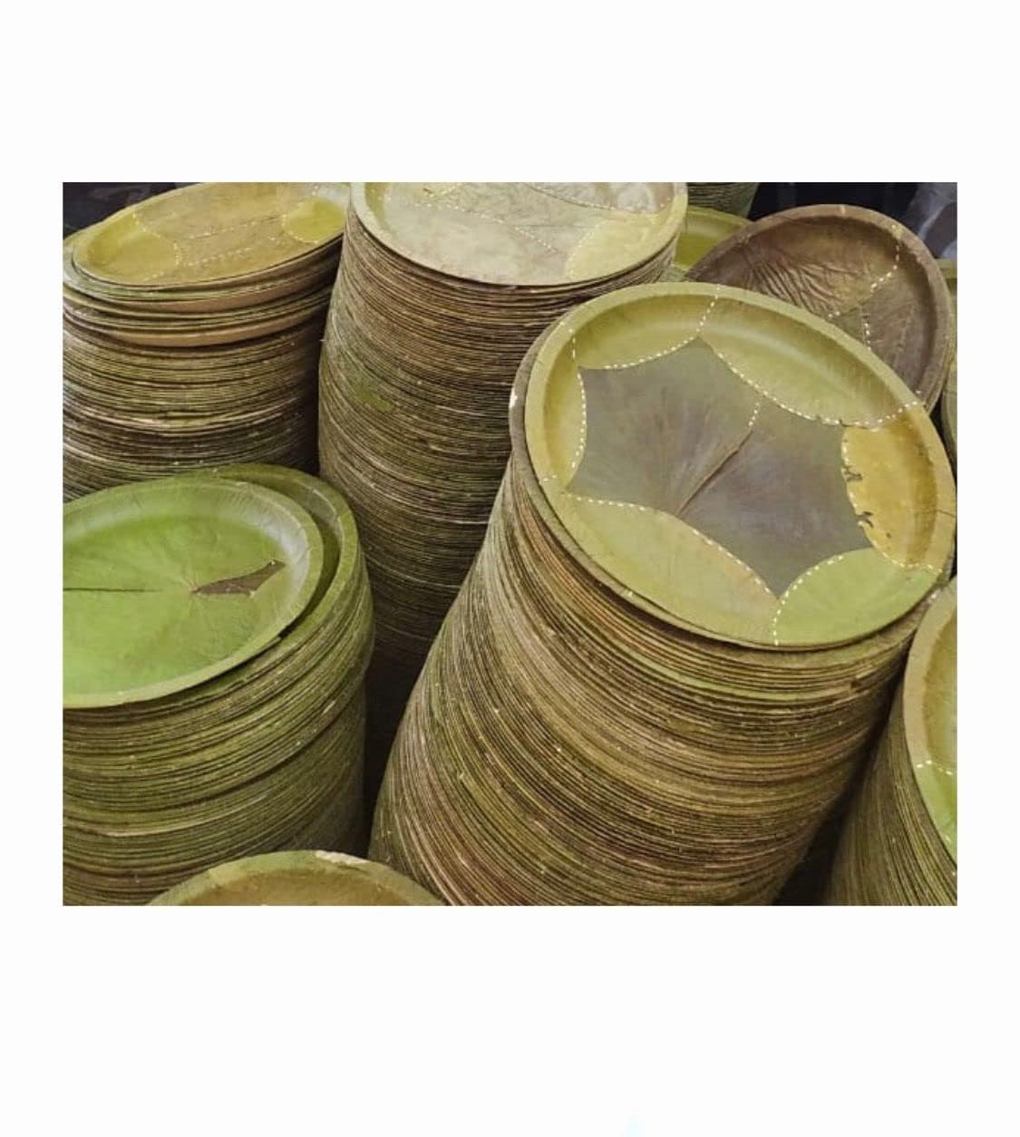 Siali Leaf Disposable Party Plates | Eco-Friendly Bio-Degradable Compostable Natural Pattal | 10 Inch, Pack of 10
