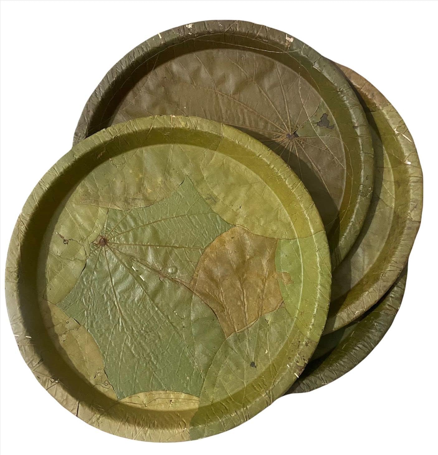 Siali Leaf Disposable Party Plates | Eco-Friendly Bio-Degradable Compostable Natural Pattal | 10 Inch, Pack of 10