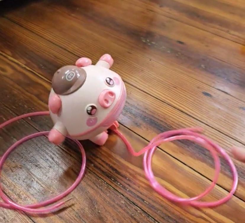 Tightrope Walking Pig